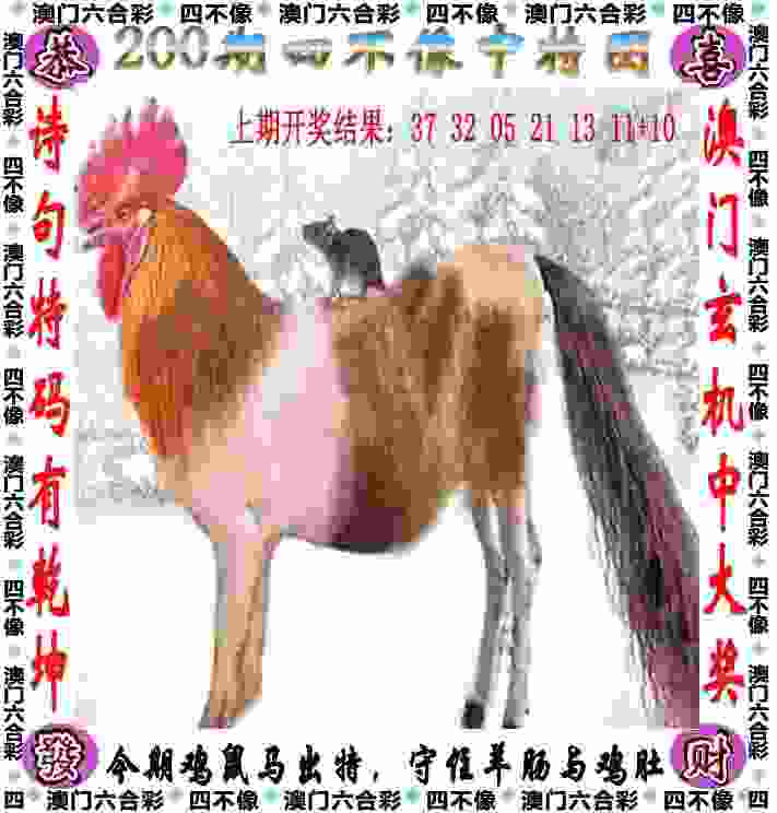 管家婆一肖一码王中王 v21.9.79.91 官方正式版 2